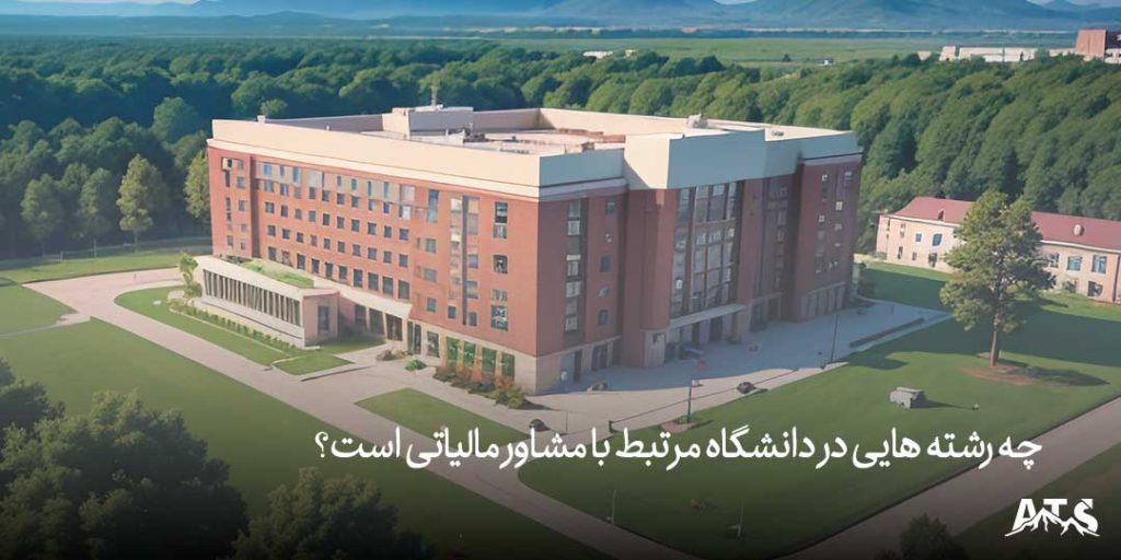 چطور یک مشاور مالیاتی در تهران مالیات شما را به حداقل میرساند?